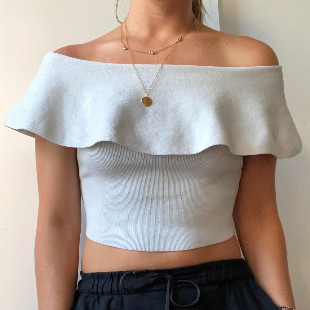 Aritzia Babaton Cropped Blouse